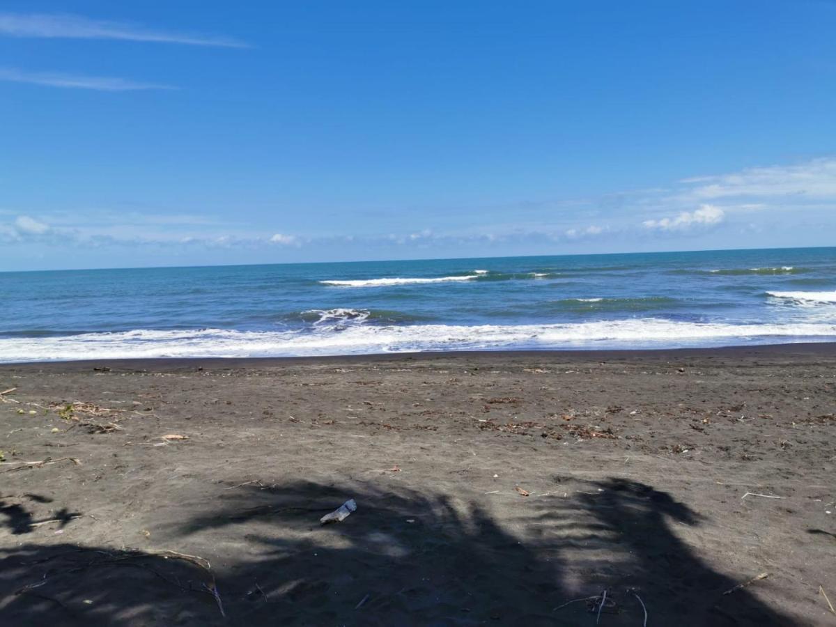 Bed and Breakfast Casa Caribe Tortuguero Zewnętrze zdjęcie