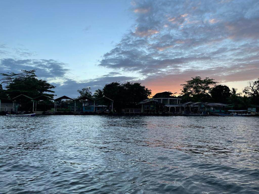 Bed and Breakfast Casa Caribe Tortuguero Zewnętrze zdjęcie