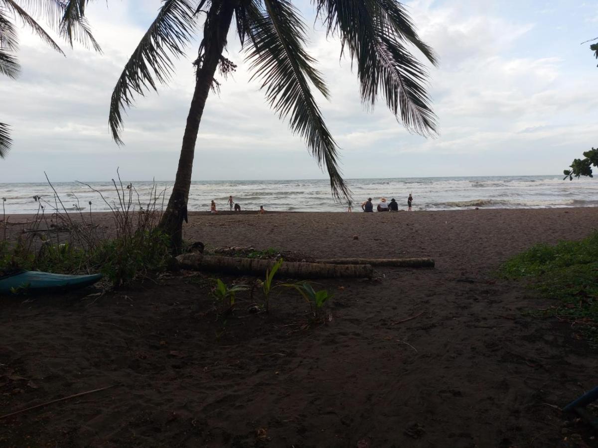 Bed and Breakfast Casa Caribe Tortuguero Zewnętrze zdjęcie