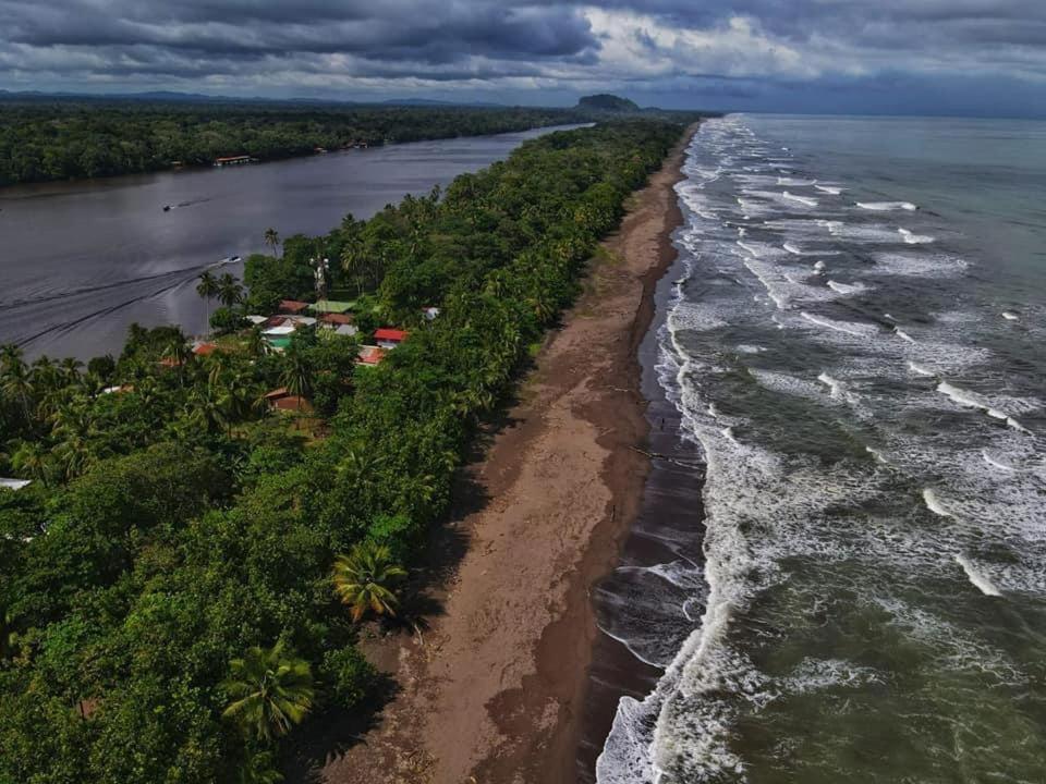 Bed and Breakfast Casa Caribe Tortuguero Zewnętrze zdjęcie