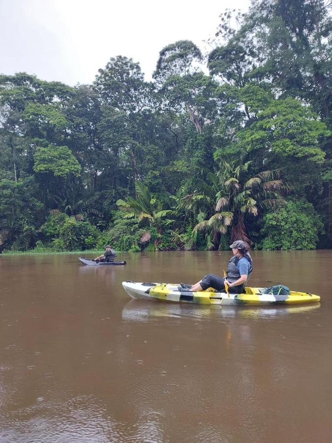 Bed and Breakfast Casa Caribe Tortuguero Zewnętrze zdjęcie